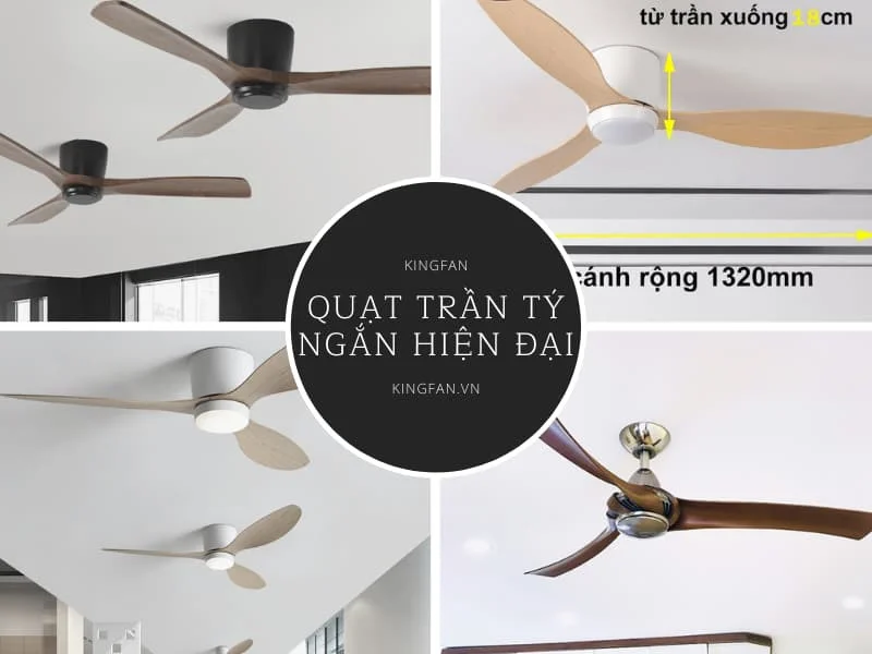 Mẫu Quạt Trần Ty Ngắn Đẹp 2024